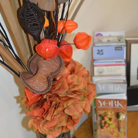 Heart Of The Flat With Free Parking Daire *